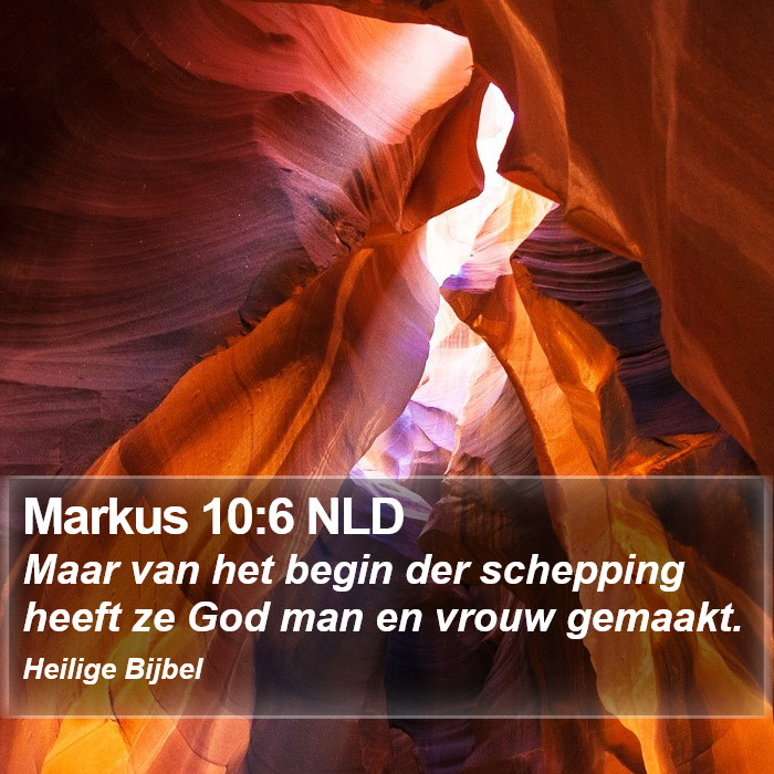 Markus 10:6 NLD Bible Study