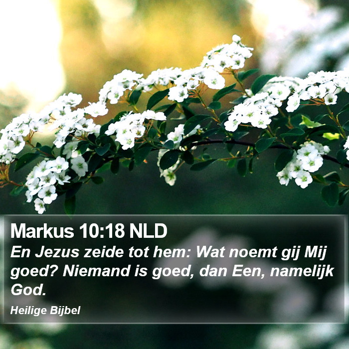 Markus 10:18 NLD Bible Study
