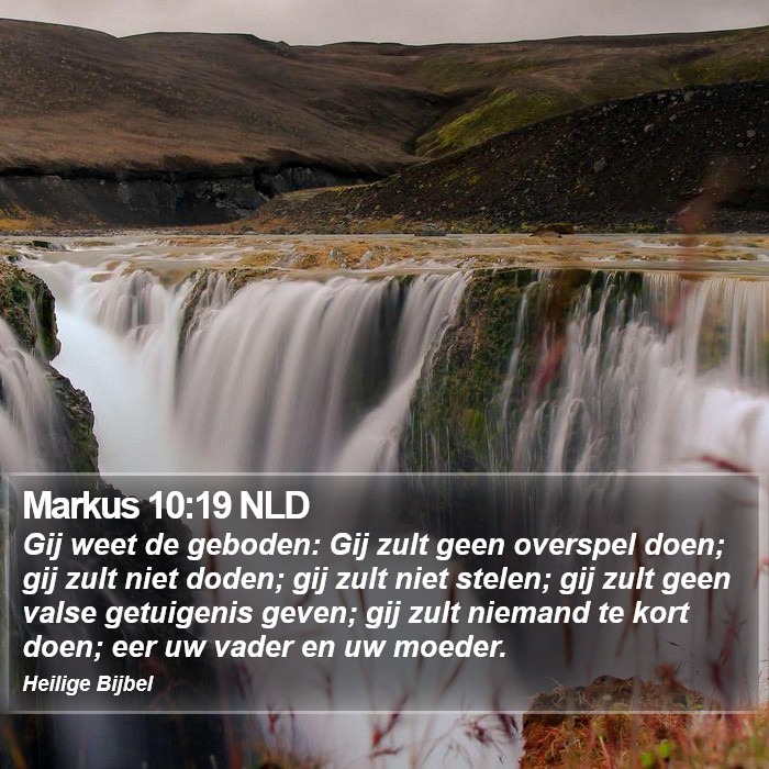 Markus 10:19 NLD Bible Study