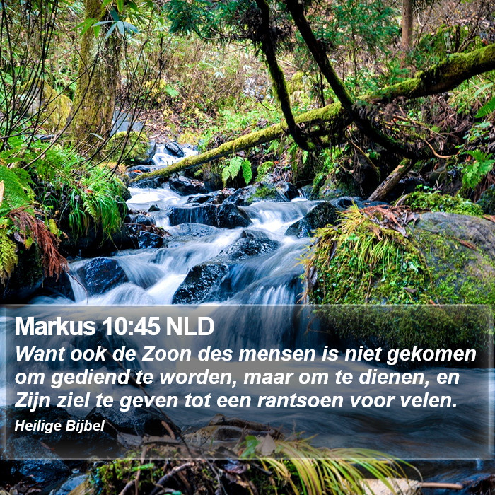 Markus 10:45 NLD Bible Study