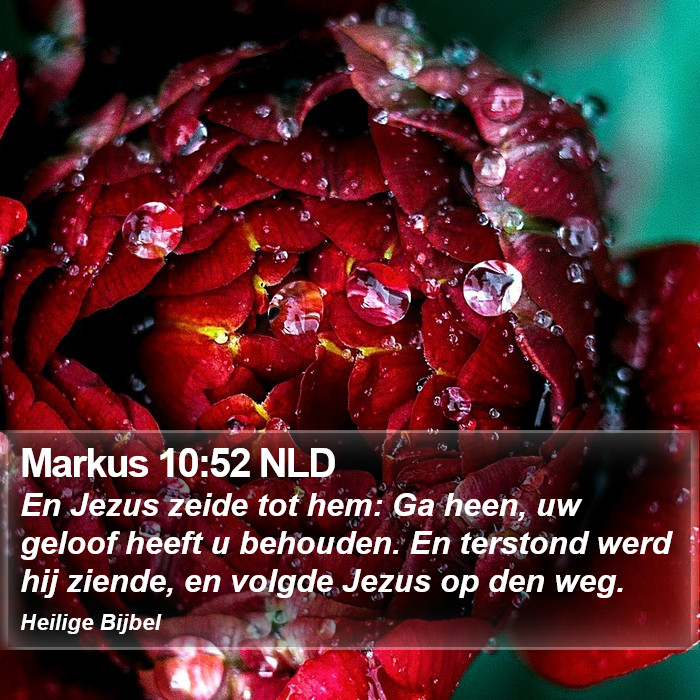 Markus 10:52 NLD Bible Study