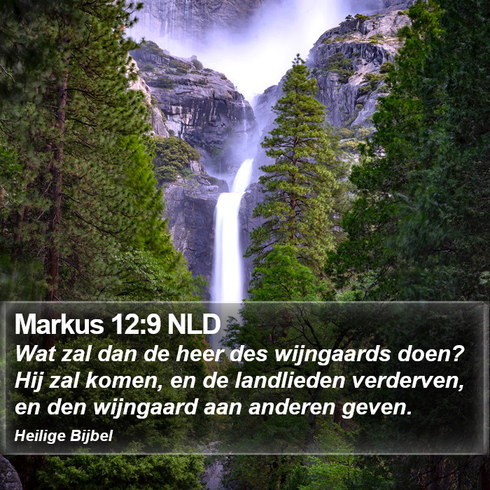Markus 12:9 NLD Bible Study