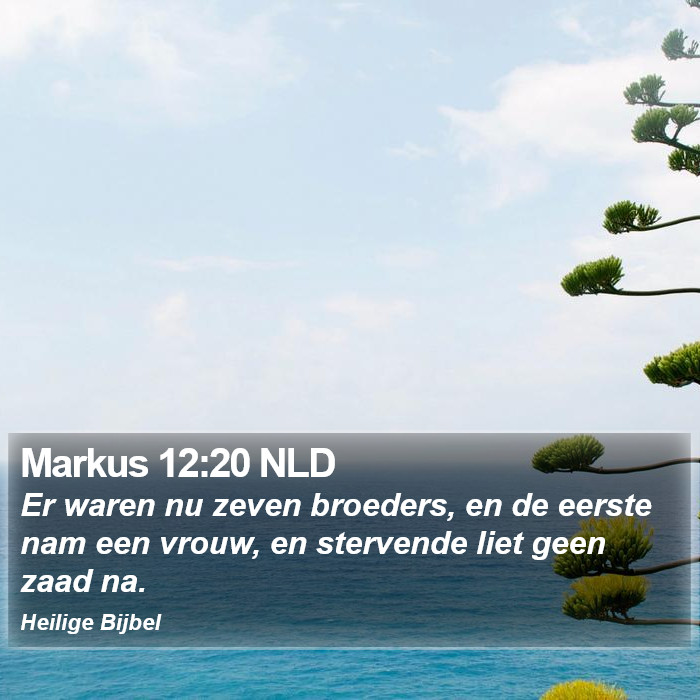 Markus 12:20 NLD Bible Study