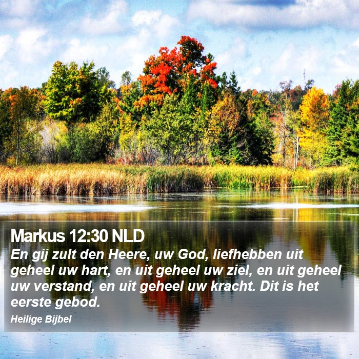 Markus 12:30 NLD Bible Study