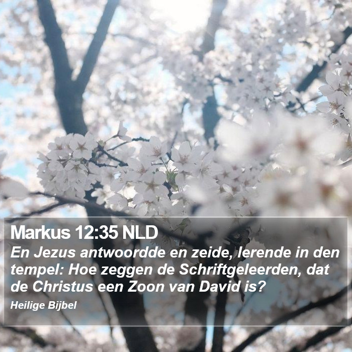 Markus 12:35 NLD Bible Study