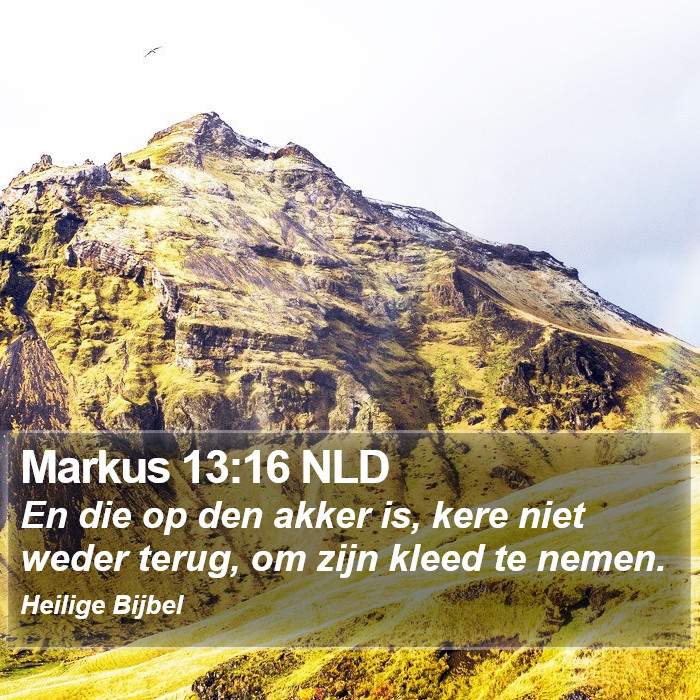 Markus 13:16 NLD Bible Study