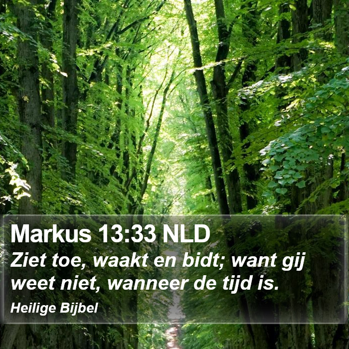 Markus 13:33 NLD Bible Study