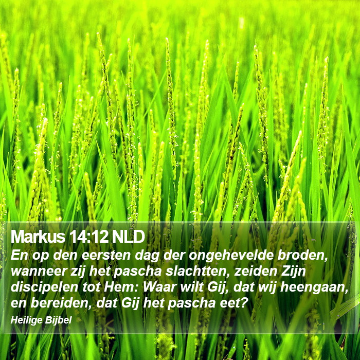 Markus 14:12 NLD Bible Study