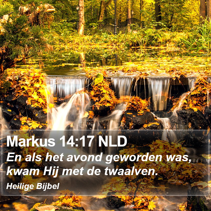 Markus 14:17 NLD Bible Study