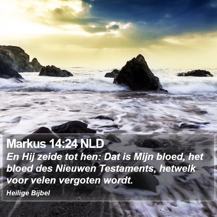 Markus 14:24 NLD Bible Study