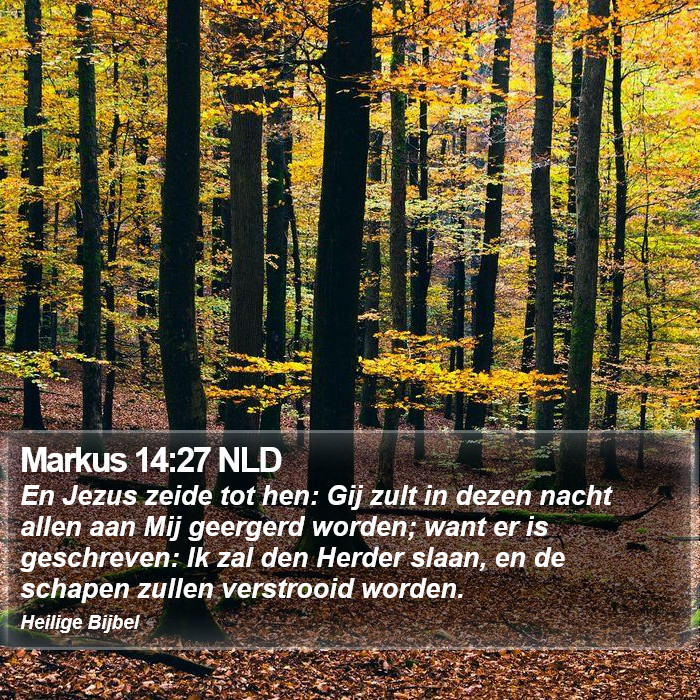 Markus 14:27 NLD Bible Study