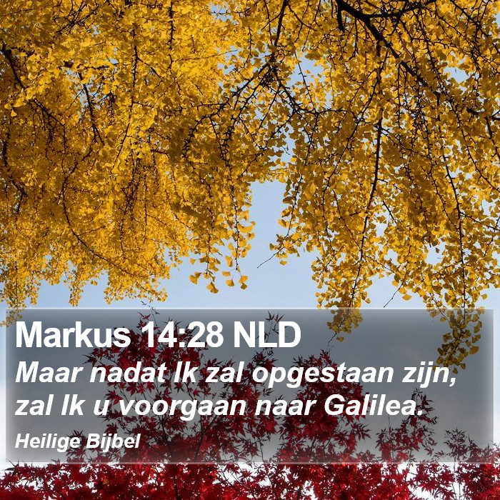 Markus 14:28 NLD Bible Study