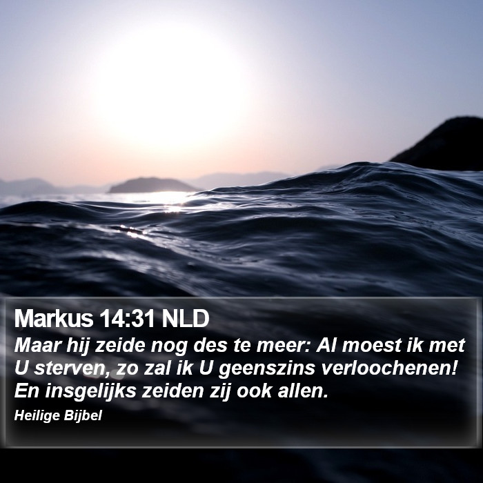 Markus 14:31 NLD Bible Study