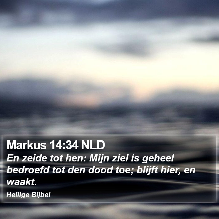 Markus 14:34 NLD Bible Study