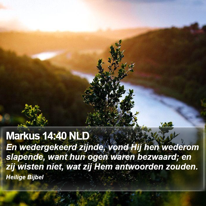 Markus 14:40 NLD Bible Study