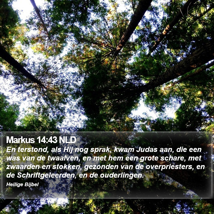 Markus 14:43 NLD Bible Study