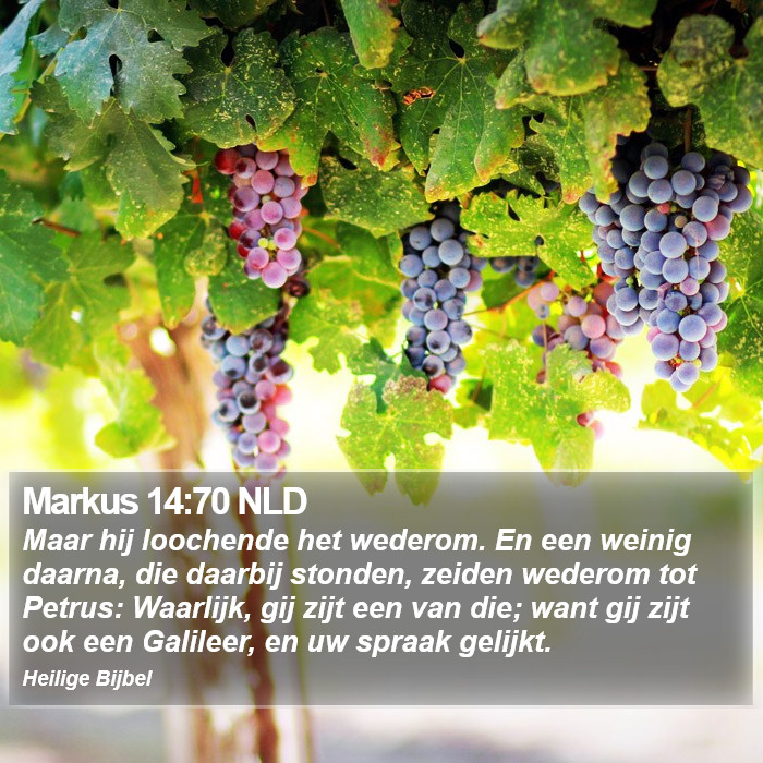 Markus 14:70 NLD Bible Study