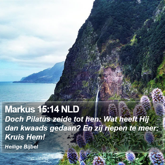 Markus 15:14 NLD Bible Study