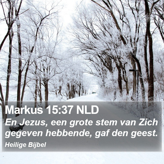 Markus 15:37 NLD Bible Study