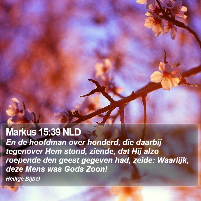 Markus 15:39 NLD Bible Study