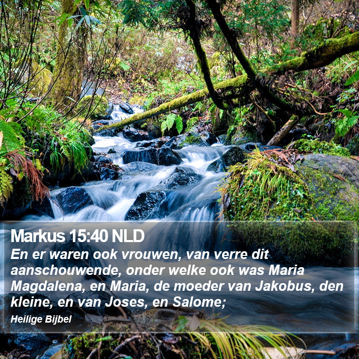 Markus 15:40 NLD Bible Study