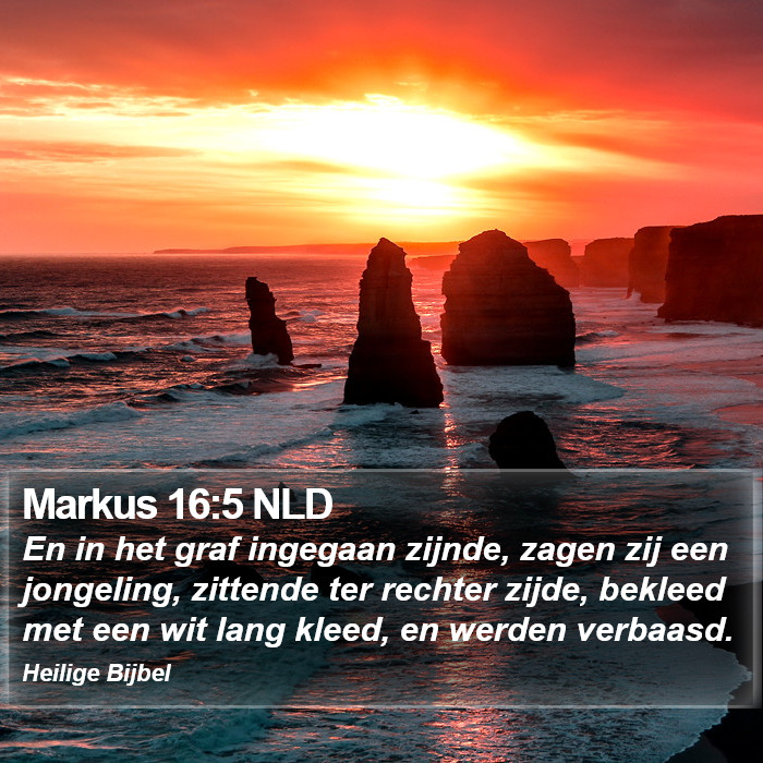 Markus 16:5 NLD Bible Study