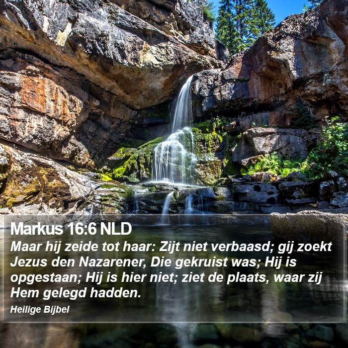 Markus 16:6 NLD Bible Study