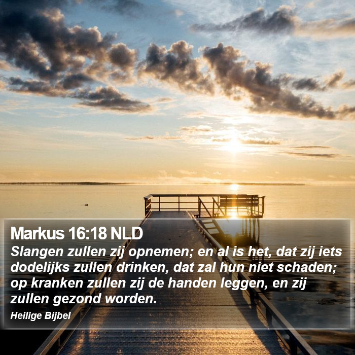 Markus 16:18 NLD Bible Study