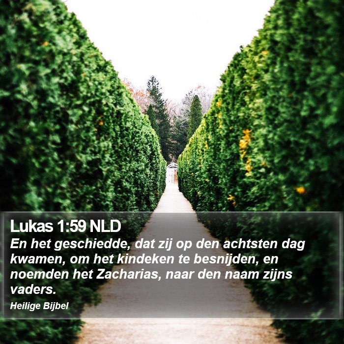 Lukas 1:59 NLD Bible Study