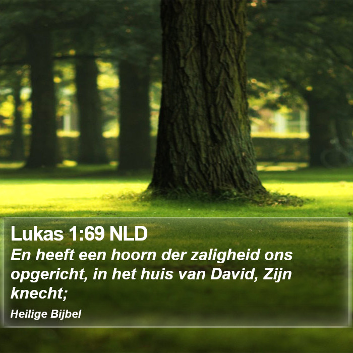 Lukas 1:69 NLD Bible Study