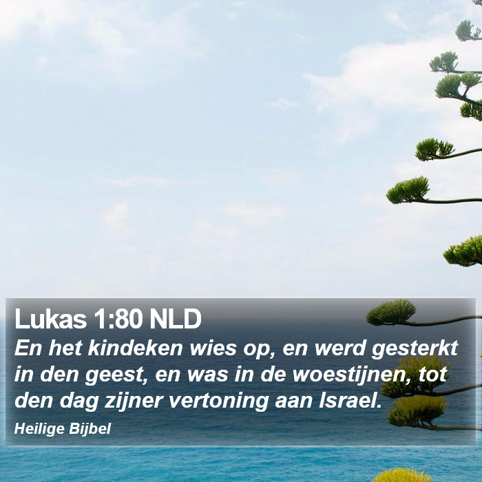 Lukas 1:80 NLD Bible Study