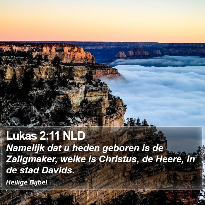 Lukas 2:11 NLD Bible Study