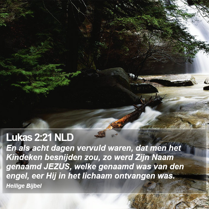 Lukas 2:21 NLD Bible Study