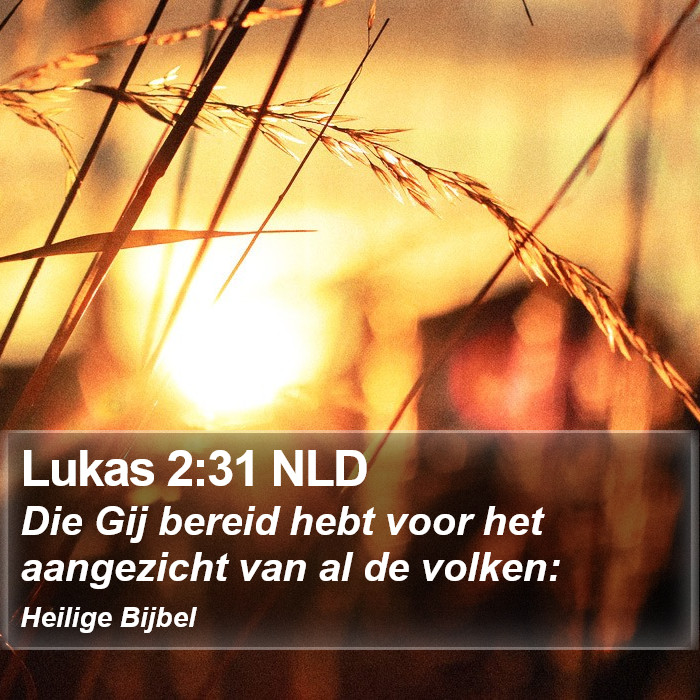 Lukas 2:31 NLD Bible Study