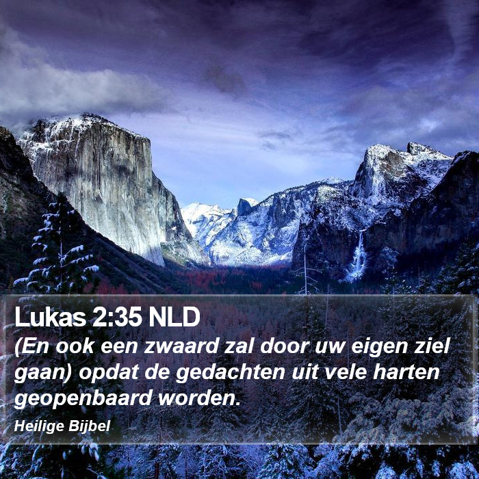 Lukas 2:35 NLD Bible Study