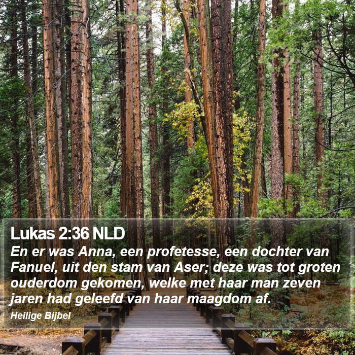 Lukas 2:36 NLD Bible Study