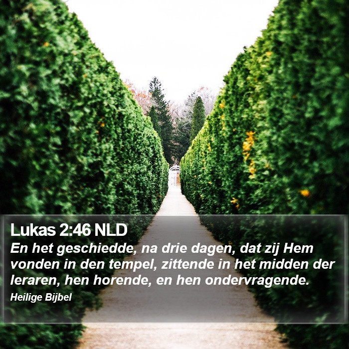 Lukas 2:46 NLD Bible Study