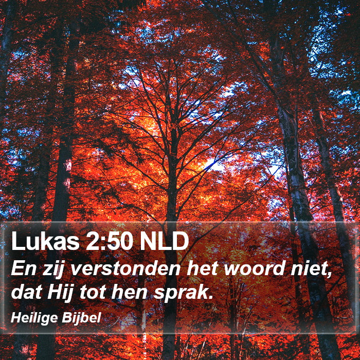 Lukas 2:50 NLD Bible Study