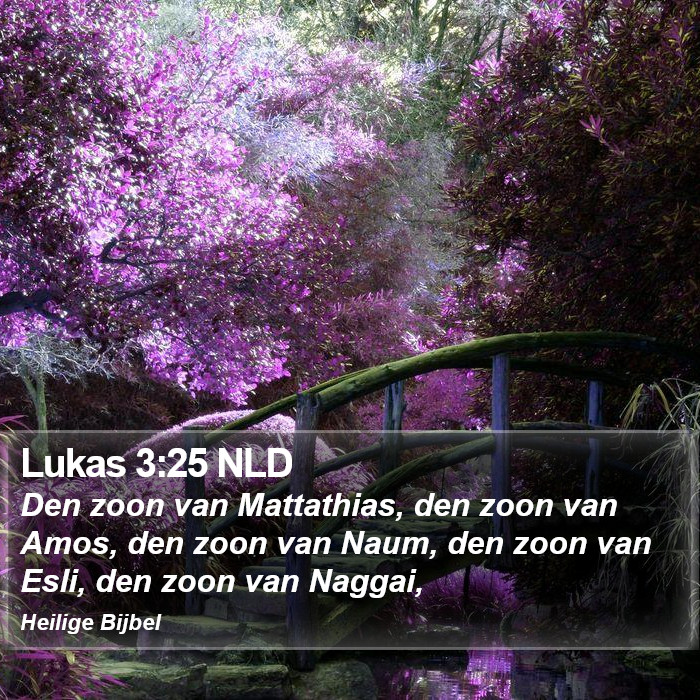 Lukas 3:25 NLD Bible Study