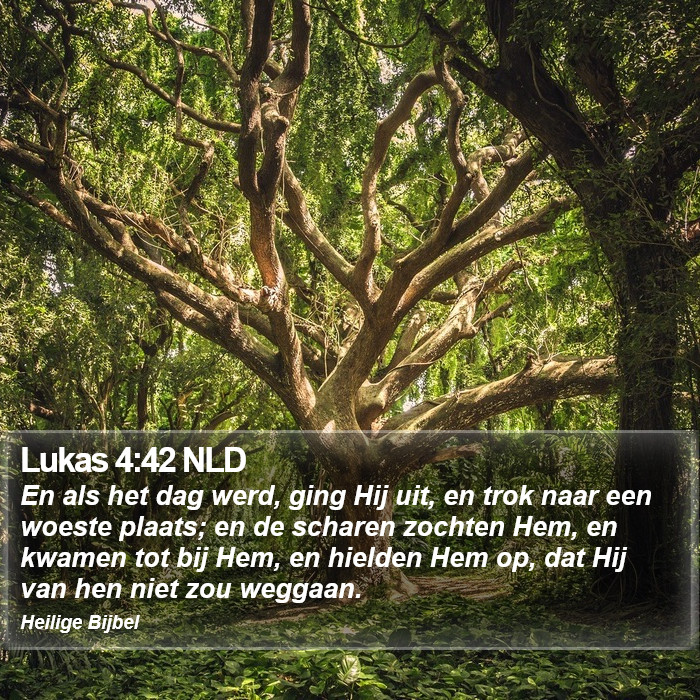 Lukas 4:42 NLD Bible Study
