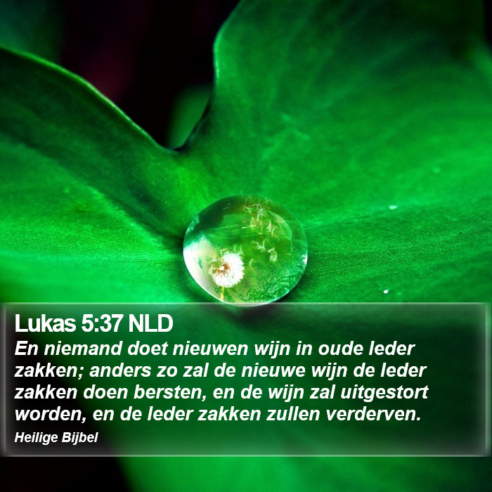 Lukas 5:37 NLD Bible Study