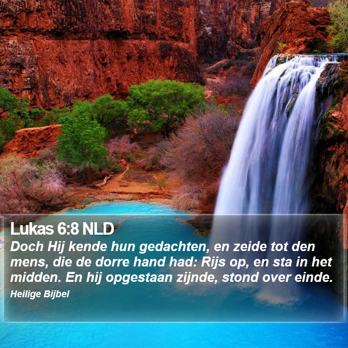 Lukas 6:8 NLD Bible Study