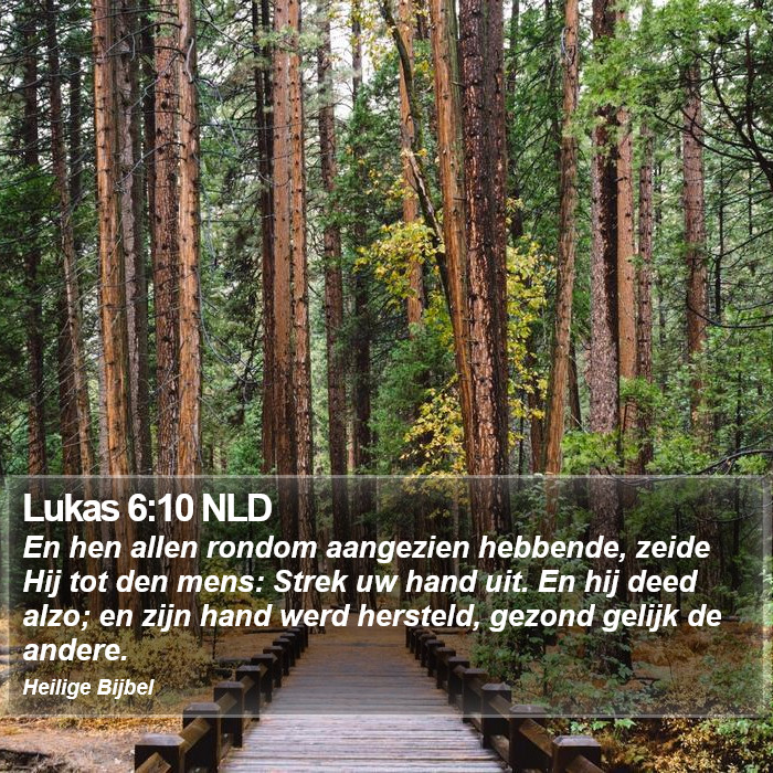 Lukas 6:10 NLD Bible Study