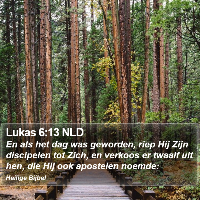 Lukas 6:13 NLD Bible Study