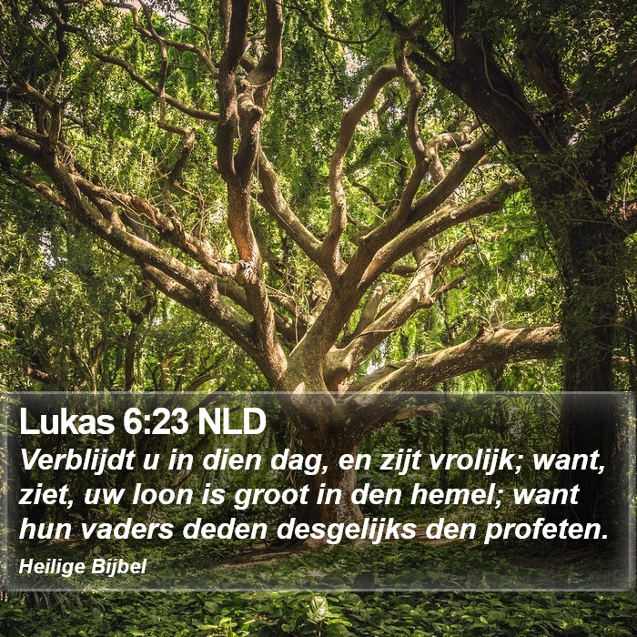 Lukas 6:23 NLD Bible Study