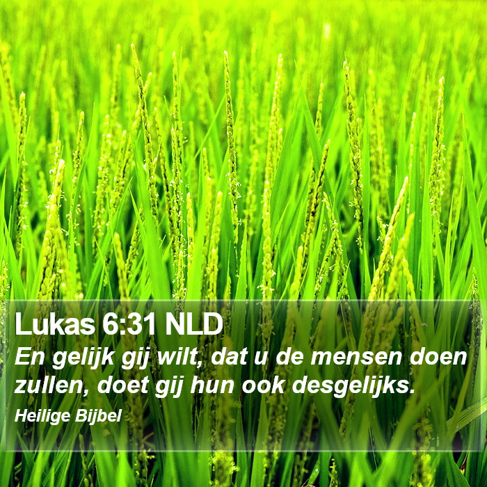 Lukas 6:31 NLD Bible Study