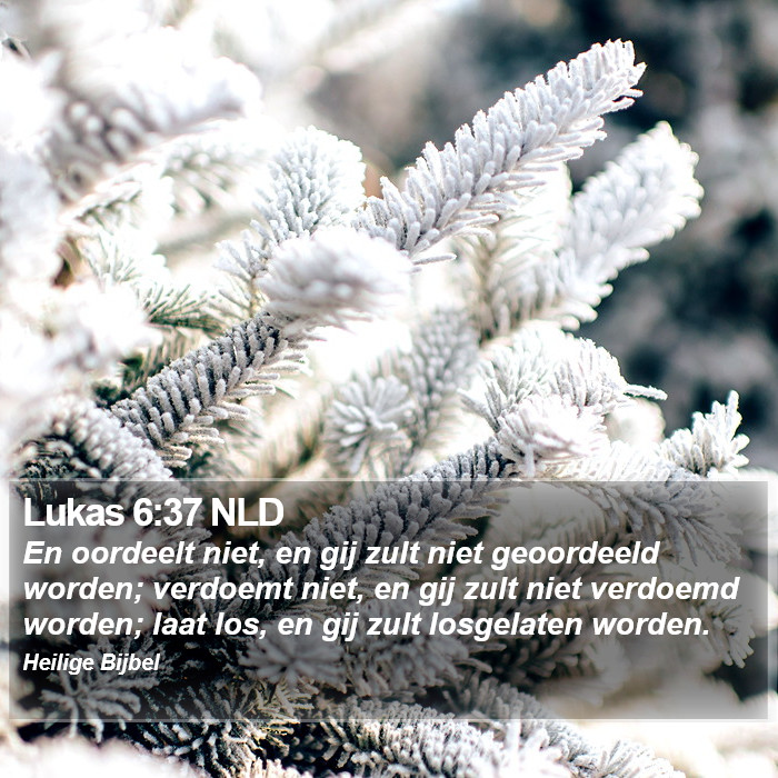 Lukas 6:37 NLD Bible Study