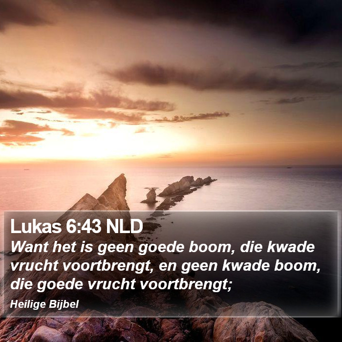 Lukas 6:43 NLD Bible Study