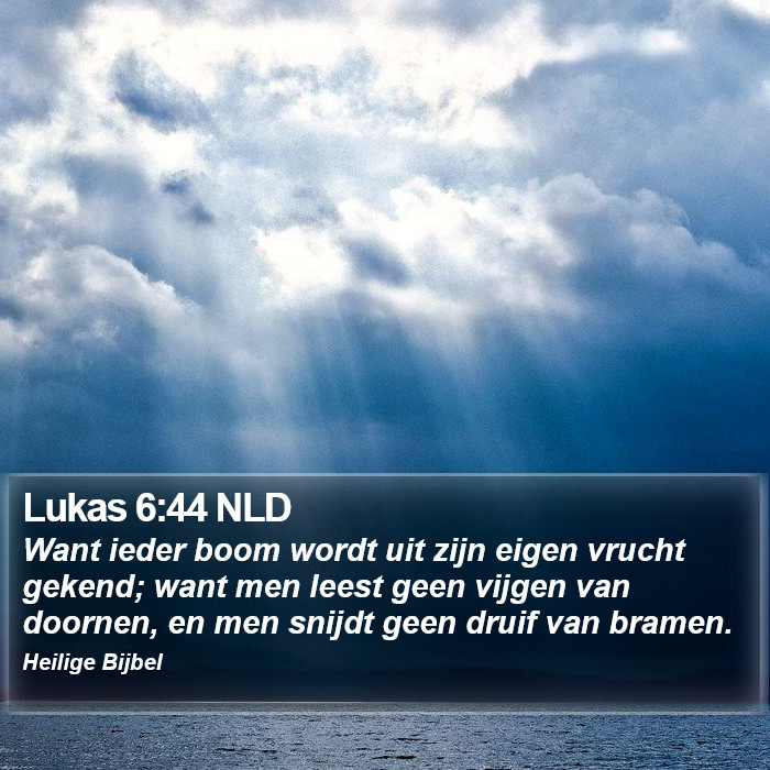 Lukas 6:44 NLD Bible Study