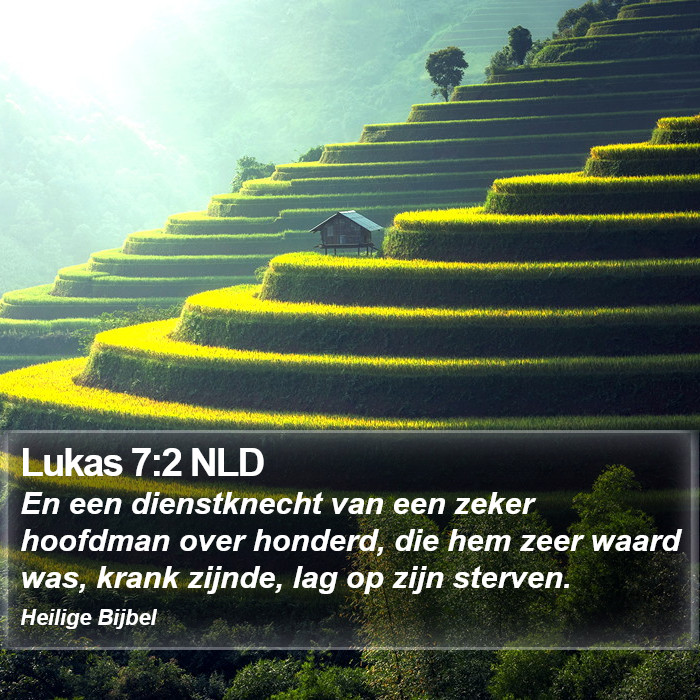 Lukas 7:2 NLD Bible Study